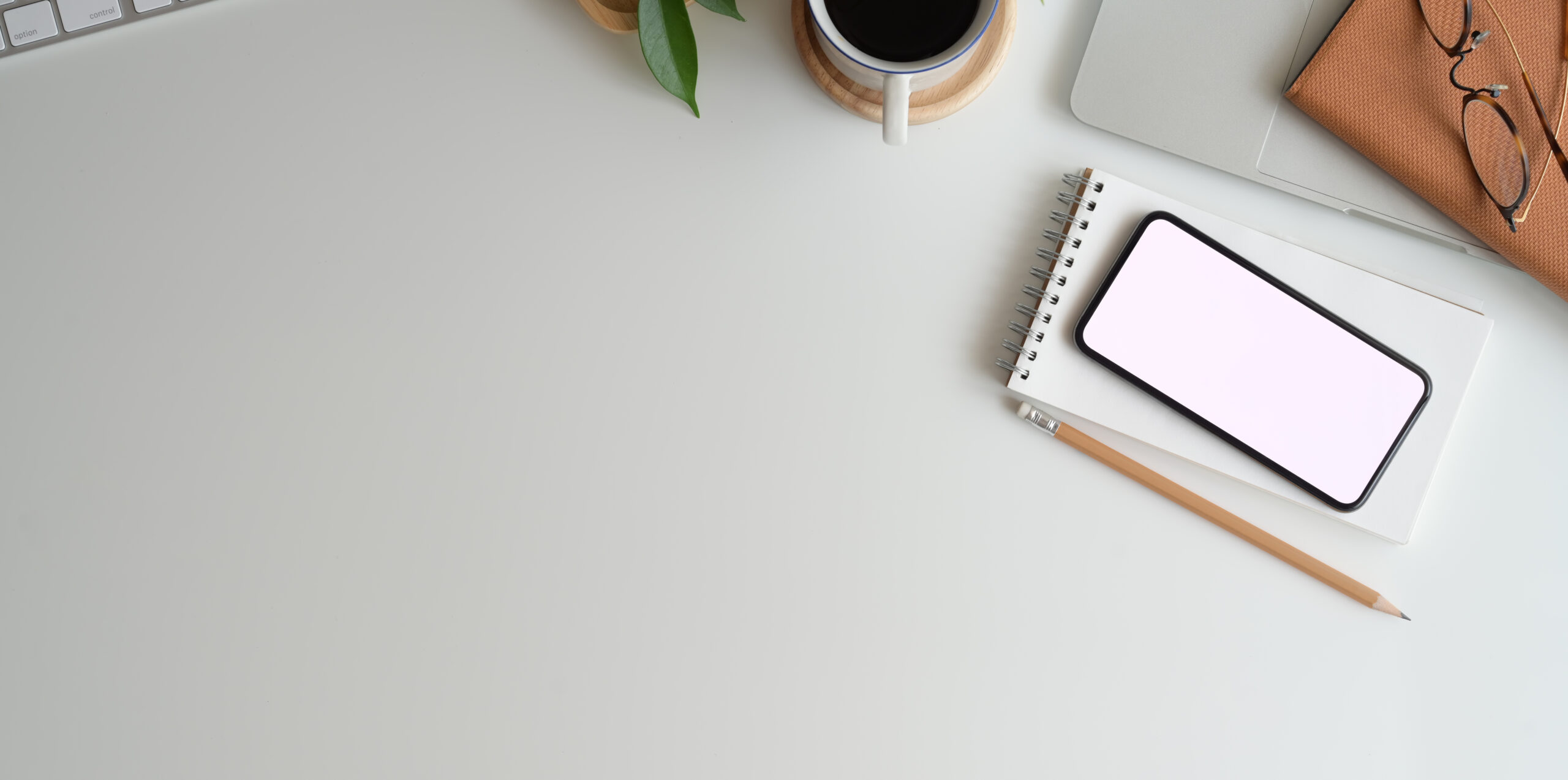 Elevate Your Team's Performance